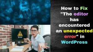 How to Fix The editor has encountered an unexpected error in WordPress