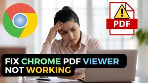 Fix Chrome PDF Viewer Not Working